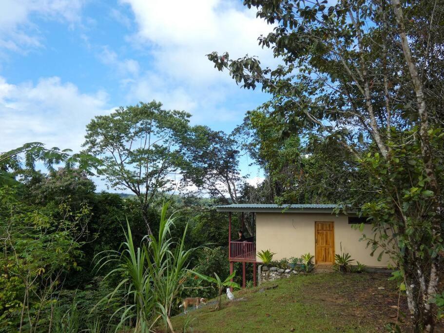 Tapiru'S House - Bahia Drake Apartment Drake Bay Exterior photo
